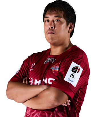 HINO RED DOLPHINS ラグビーウェア 3XL HINO RED DOLPHINS ラグビーウェア 3XL卸売り