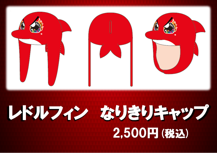 ニュース - 1月21日（土）浦安戦「レドルフィン1歳おめでとうDay」開催