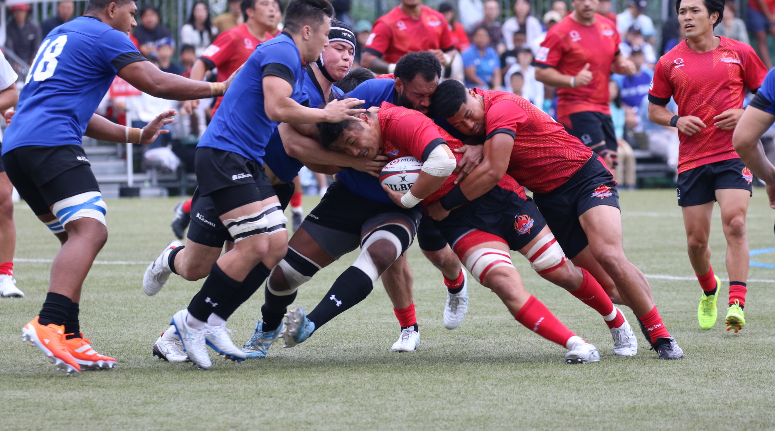 日野レッドドルフィンズ オフィシャルサイト