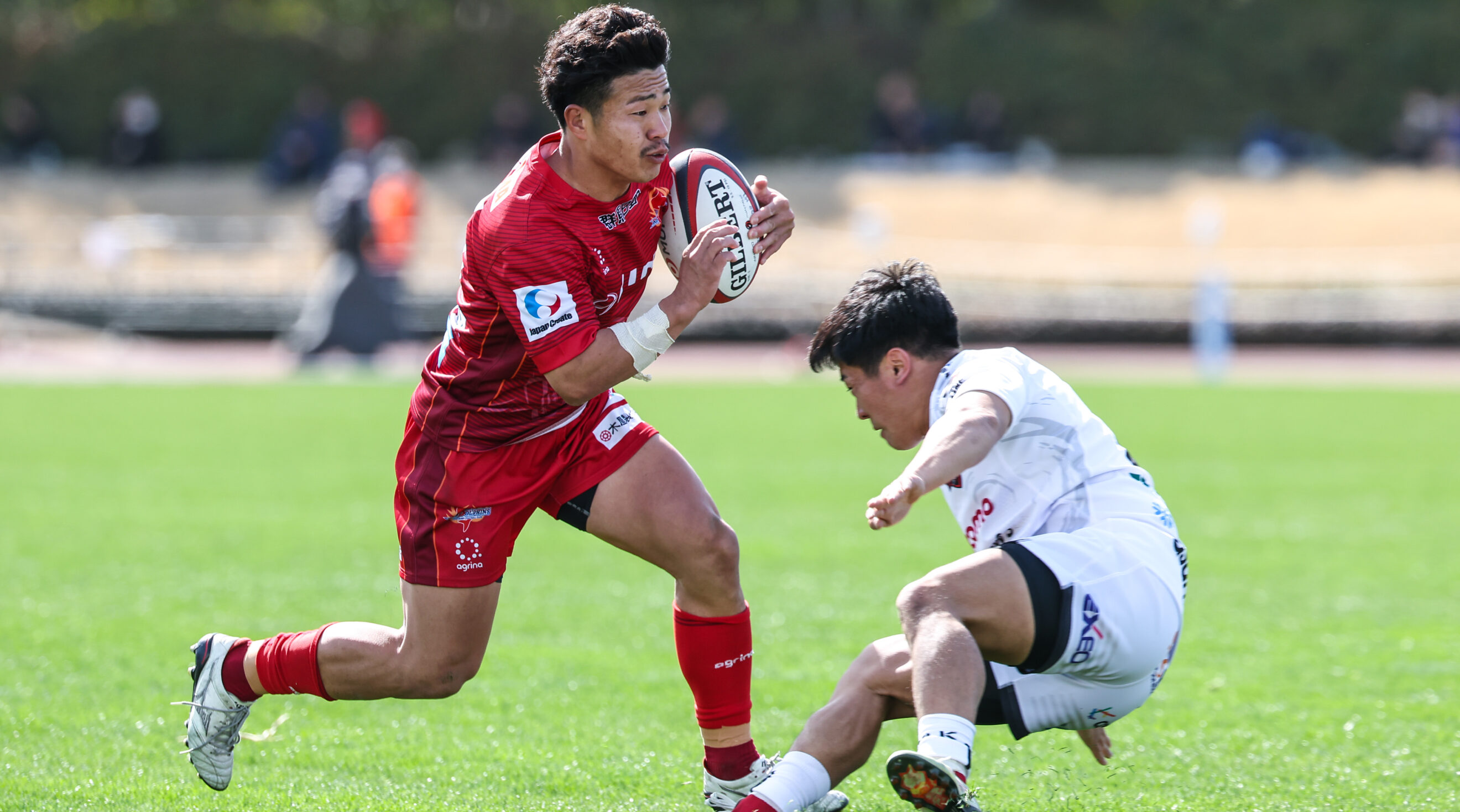 日野レッドドルフィンズ オフィシャルサイト