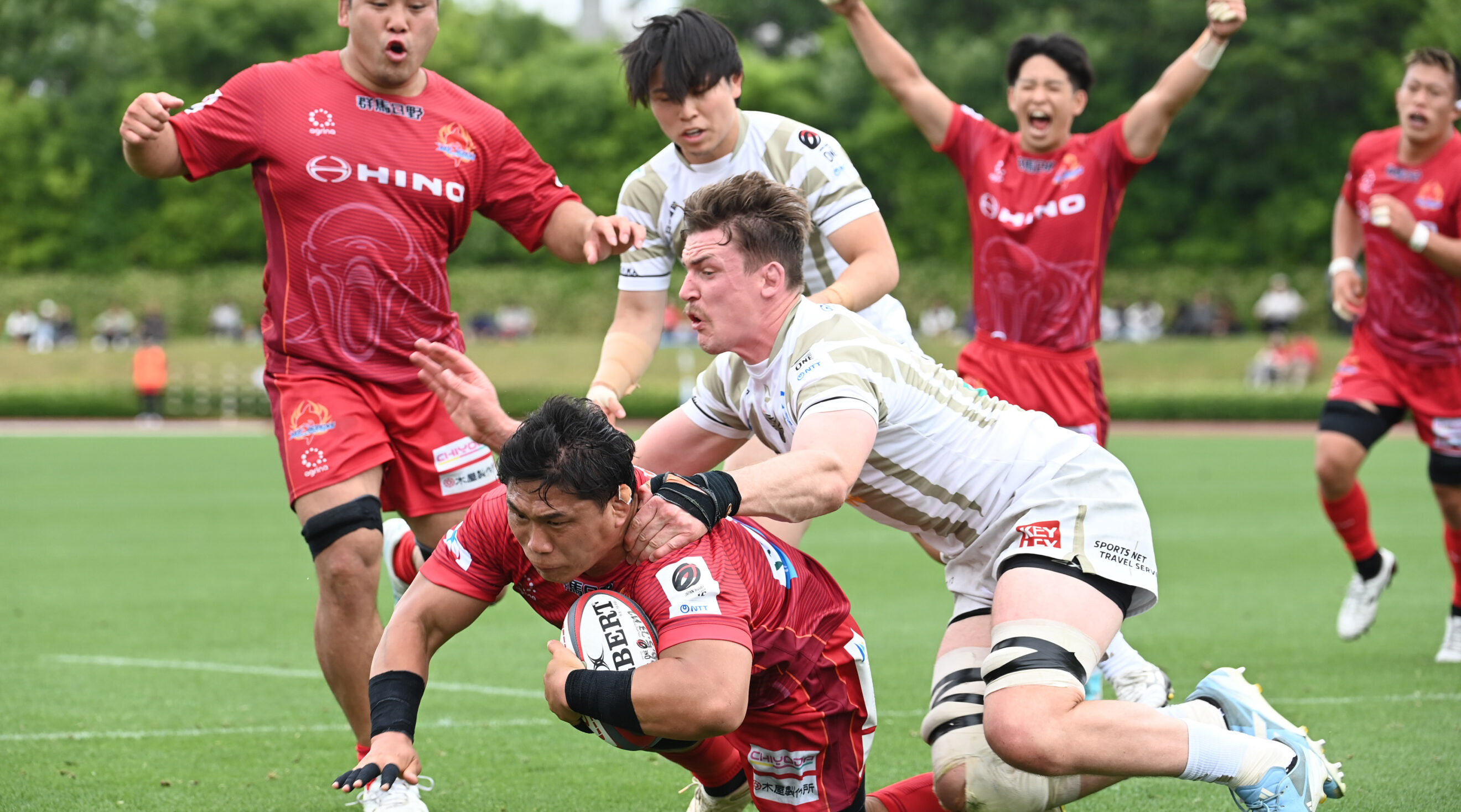 日野レッドドルフィンズ オフィシャルサイト