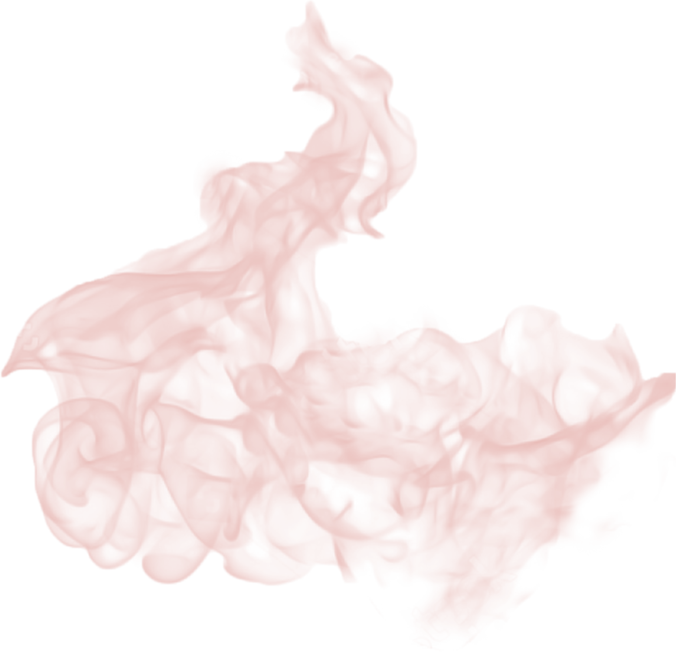 日野レッドドルフィンズ オフィシャルサイト